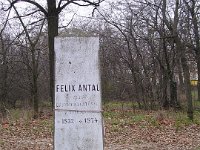 Félix Antal